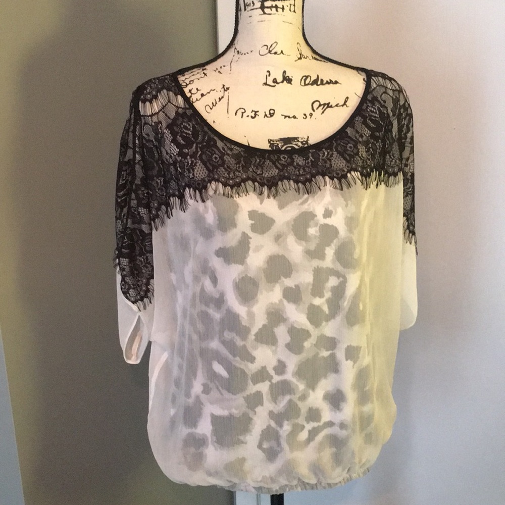 Cache’ Lace and Sheer Slit Sleeve Top